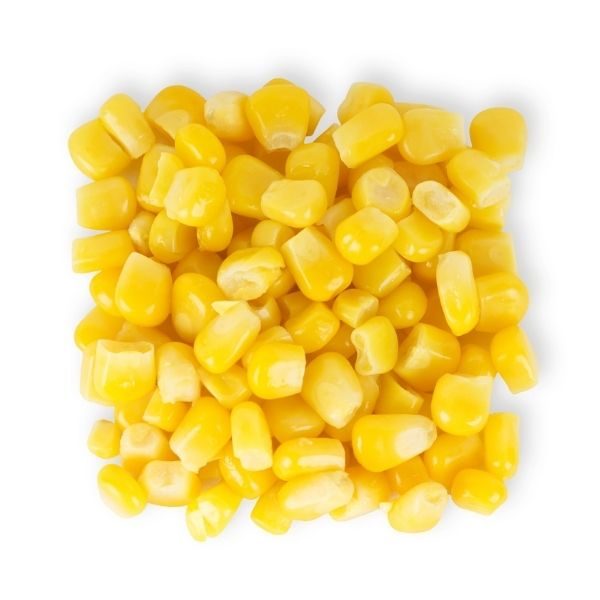 Maïs en grain Multi Choix